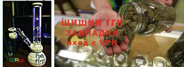 ГАЛЛЮЦИНОГЕННЫЕ ГРИБЫ Алзамай